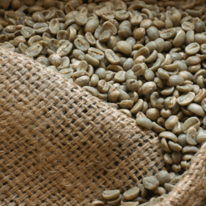 Jamaica Blue Mountain Coffee – Green Beans