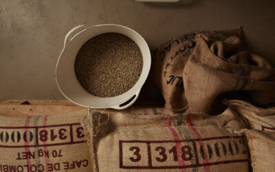 Exploring the Rich History of Jamaican Coffee: From Bean to Cup