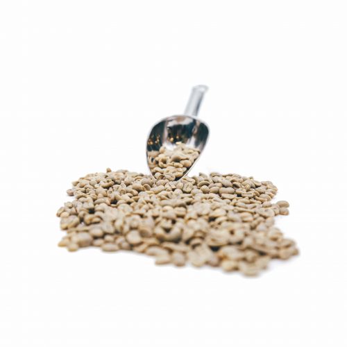 Ethiopia Yirgacheffe G2 – Fully Washed