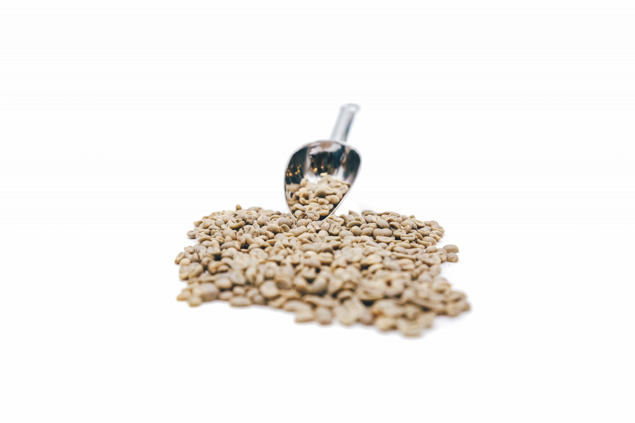 Ethiopia Yirgacheffe G2 – Fully Washed