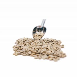Ethiopia Sidamo Natural Green Beans